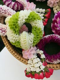 High angle view of multi colored roses on plant