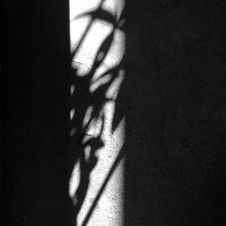 Close-up of the wall