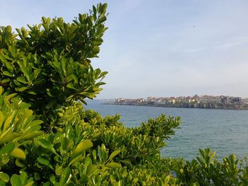 Scenic view of sea by city against sky