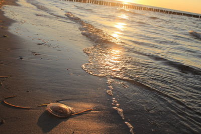 Scenic view of sea at sunset