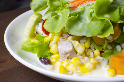 Close-up of salad served in plate