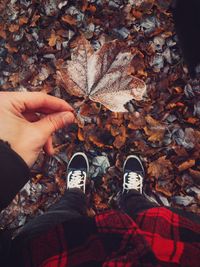 Low section of person with autumn leaves