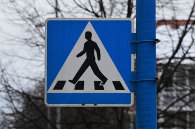 Close-up of pedestrian crossing sign against bare tree