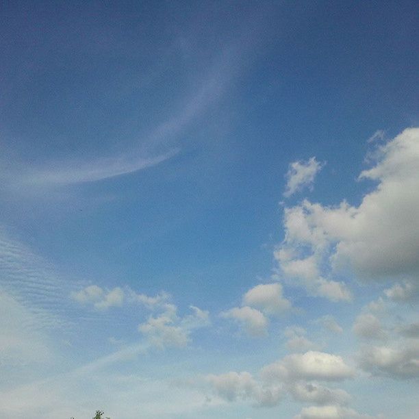 blue, sky, low angle view, beauty in nature, tranquility, scenics, cloud - sky, tranquil scene, nature, sky only, white color, cloud, idyllic, day, copy space, outdoors, backgrounds, no people, cloudscape, white