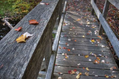 High angle view of autumn leaves on wooden bench
