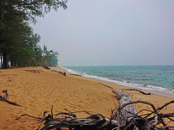 Scenic view of beach against clear sky