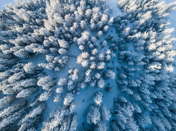 Full frame shot of snow covered land