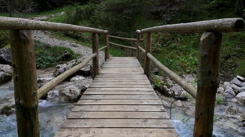 Wooden footbridge amidst trees in forest