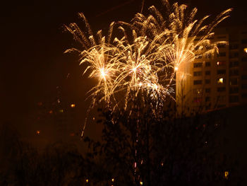 Low angle view of firework display against sky at night