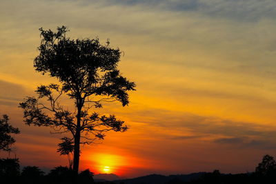 Low angle view of silhouette tree against romantic sky