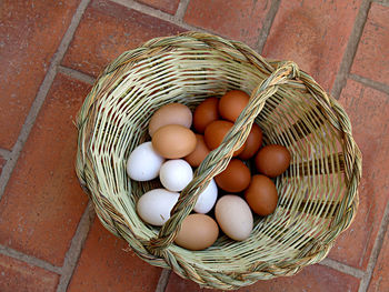 egg
