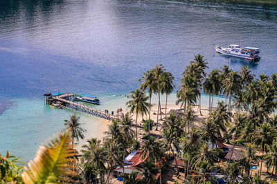 High angle view of palm trees on beach