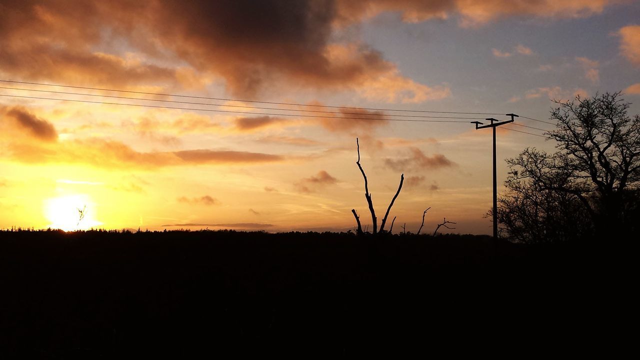 LOW ANGLE VIEW OF SILHOUETTE TREES AGAINST SKY