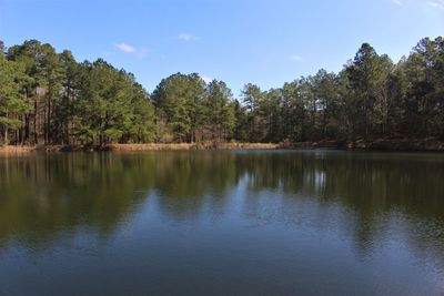 Scenic view of lake by trees against sky