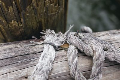 Close-up of rope tied on wood