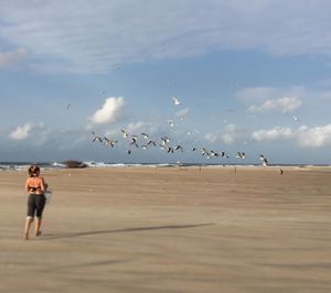 Rear view of seagulls flying over beach against sky