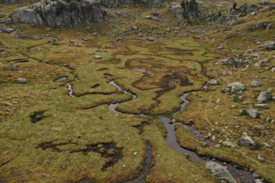 Estuaries of a lagoon of colomers