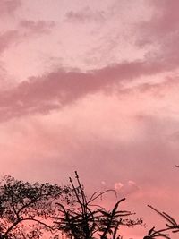 Low angle view of silhouette tree against sky