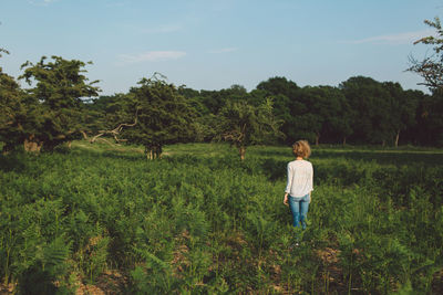 Rear view of mid adult woman standing amidst plants on field