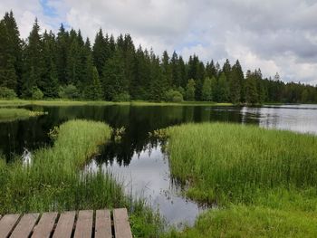 Scenic view of lake by trees against sky