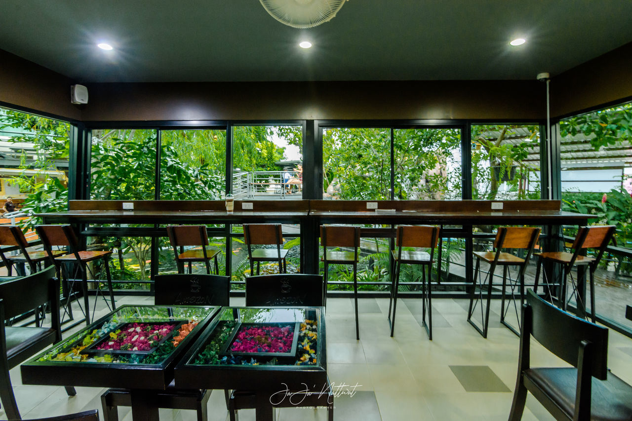 seat, table, indoors, chair, restaurant, absence, no people, day, furniture, food and drink, window, plant, glass - material, tree, transparent, business, architecture, empty, green color, ceiling