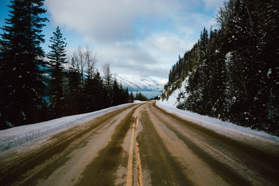 Road amidst trees against sky during winter