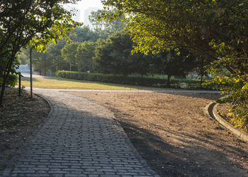 Road amidst trees