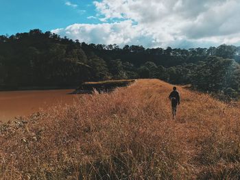 Rear view of man walking on field against sky