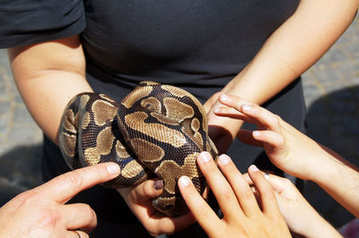Cropped hands of children touching snake held by woman
