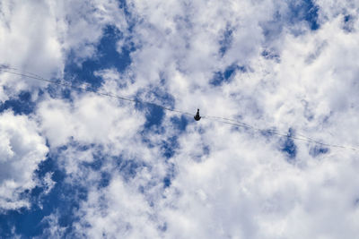 Low angle view of birds flying in sky