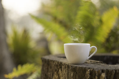 Close-up of coffee on wood