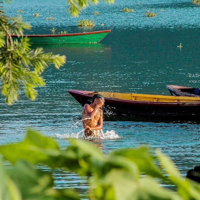 animal themes, one animal, pets, dog, water, domestic animals, mammal, lake, sitting, reflection, portrait, looking at camera, outdoors, nature, day, plant, no people, river, waterfront, transportation