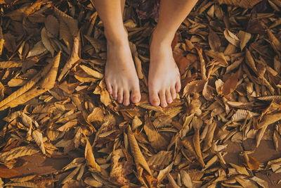 Low section of people in autumn leaves