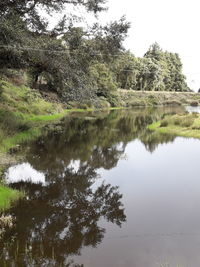 Reflection of trees in lake against sky