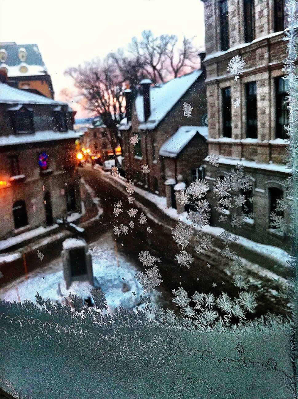 Looking out a frosty window