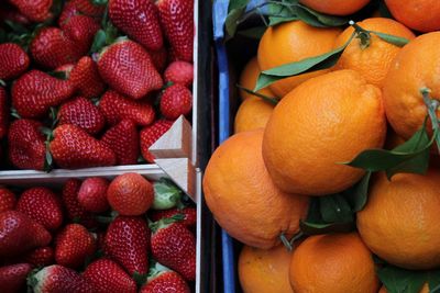 Close-up of oranges