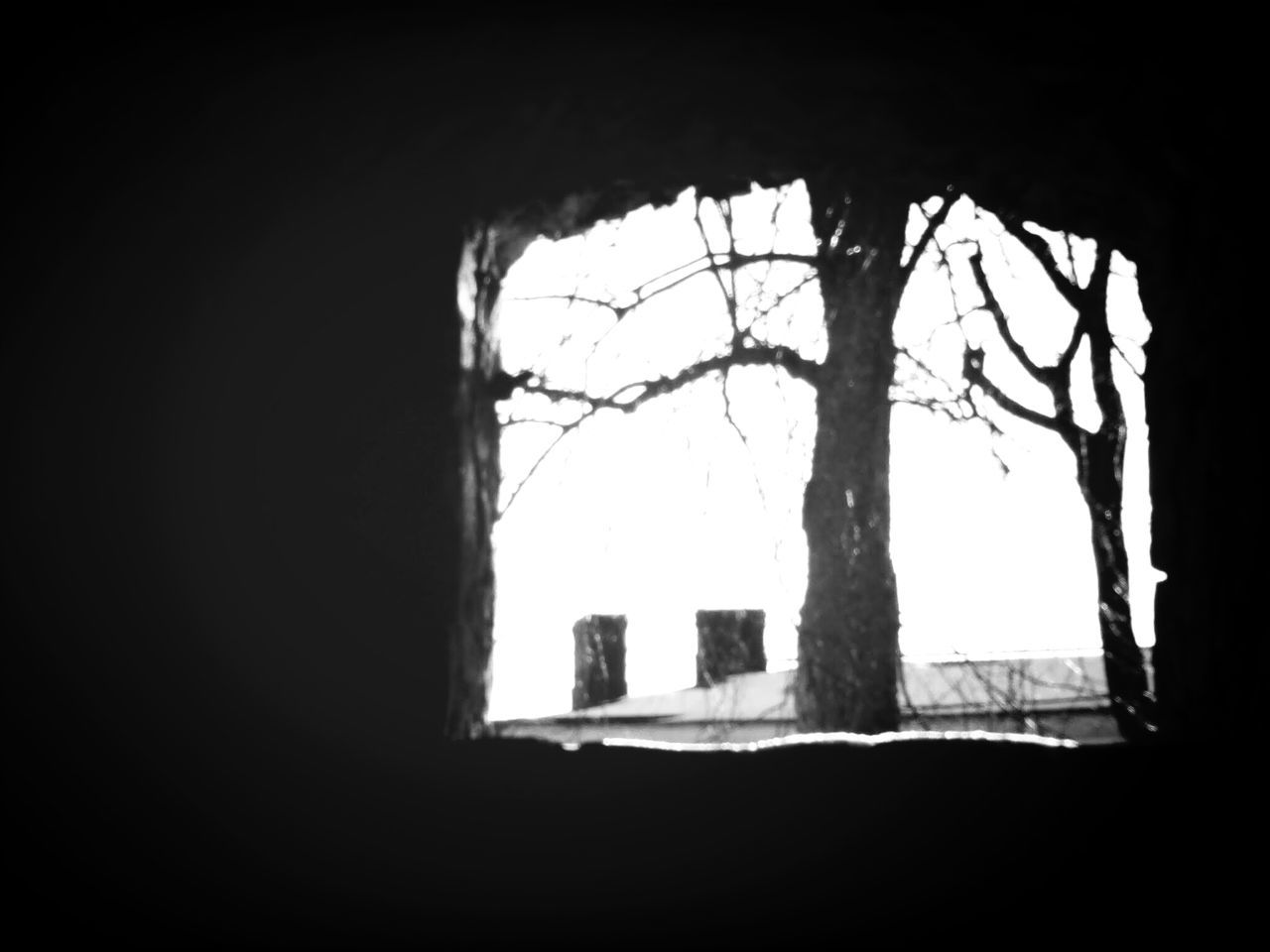 indoors, window, architecture, built structure, tree, silhouette, house, wall - building feature, dark, wall, day, building exterior, no people, sunlight, abandoned, arch, clear sky, old, branch, tree trunk