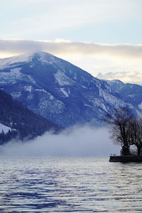 scenics - nature
