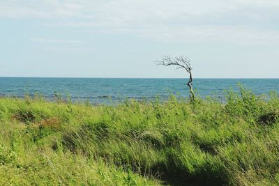 horizon over water