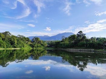Scenic view of lake by trees against sky