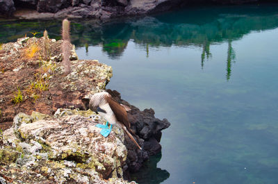 High angle view of rock formation in lake