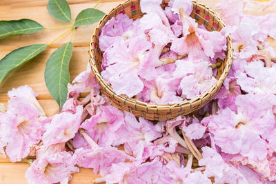 High angle view of pink flowering plant in basket