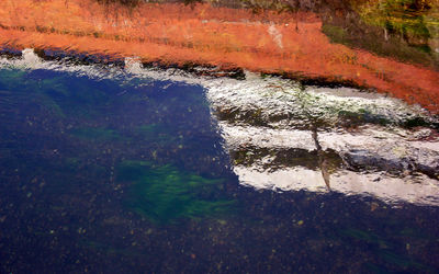 Reflection of trees on water