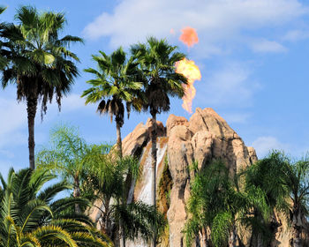 Low angle view of palm trees against sky