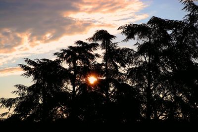 Low angle view of silhouette trees against sky during sunset