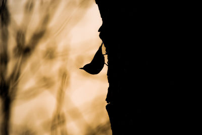 Silhouette woman standing on rock