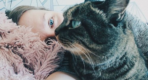 Close-up portrait of a cat