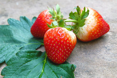 Close-up of strawberries on retaining wall