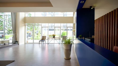 Potted plants on table by window at home