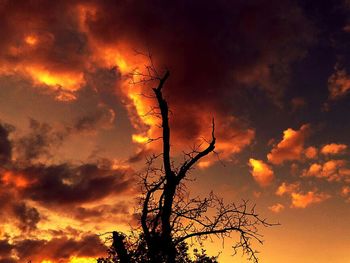 Silhouette of trees against cloudy sky